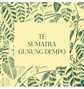 Té Sumatra, Gunung Dempo