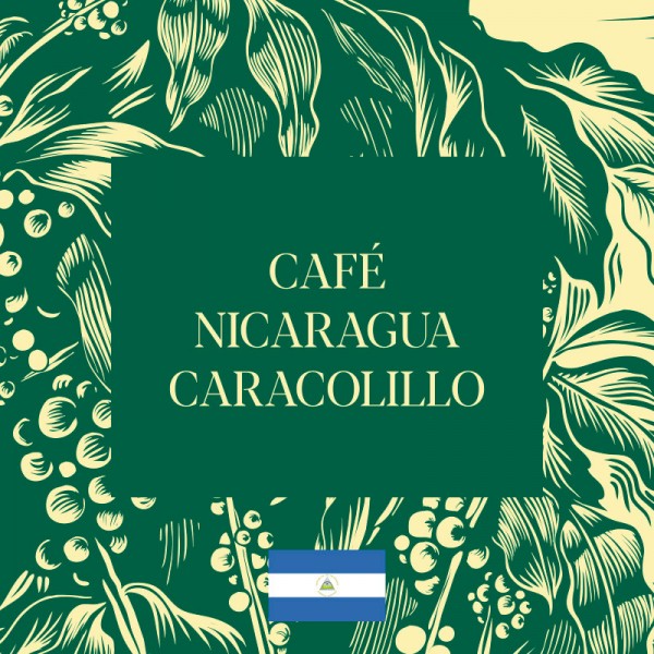 Café Nicaragua Caracolillo
