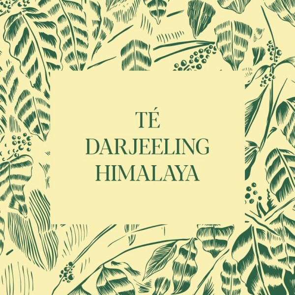 Té Darjeeling Himalaya