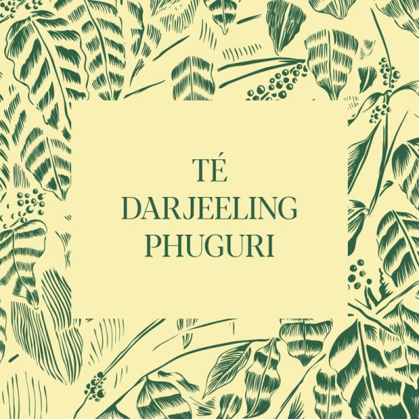 Té Darjeeling Phuguri